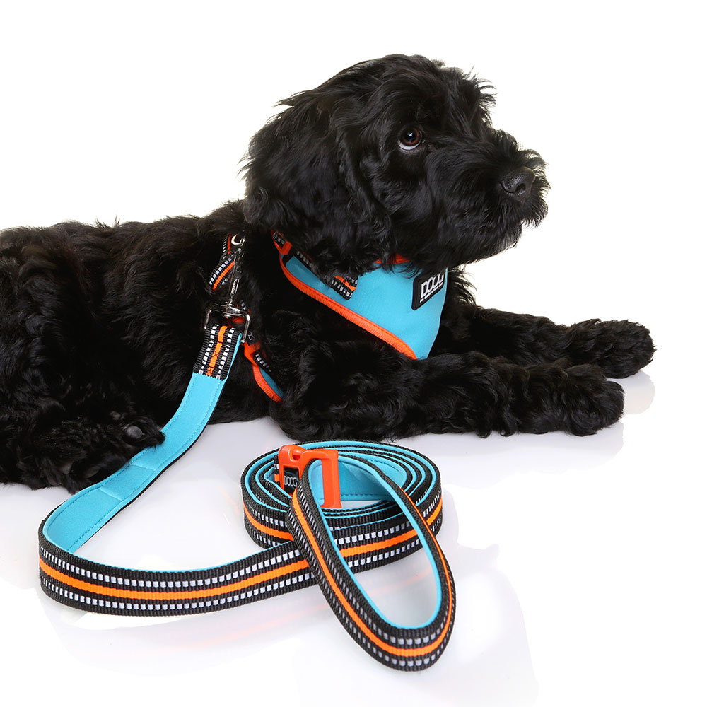 DOOG Lead Blue & Orange - Image 4