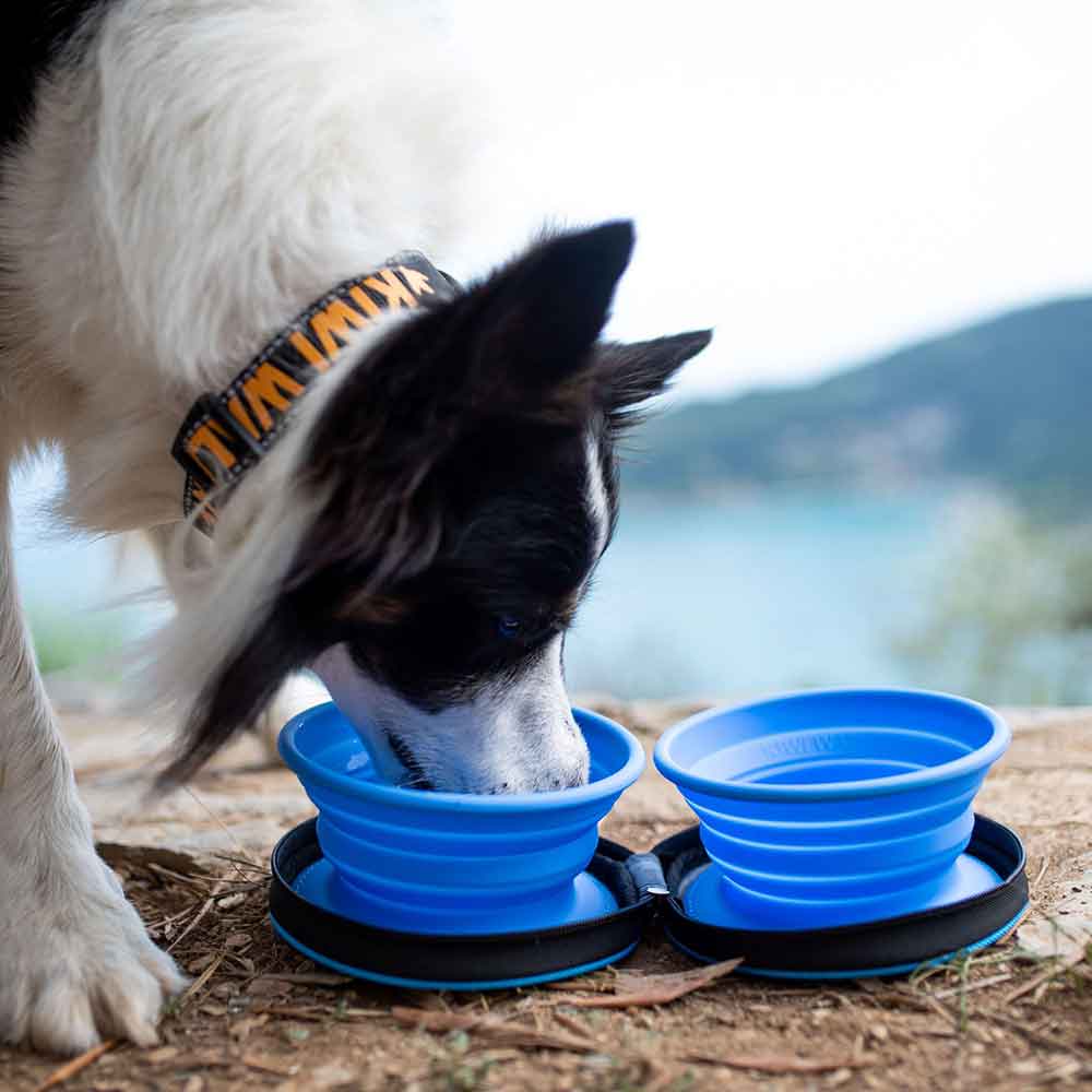 Kiwi Walker Double Travel Bowl