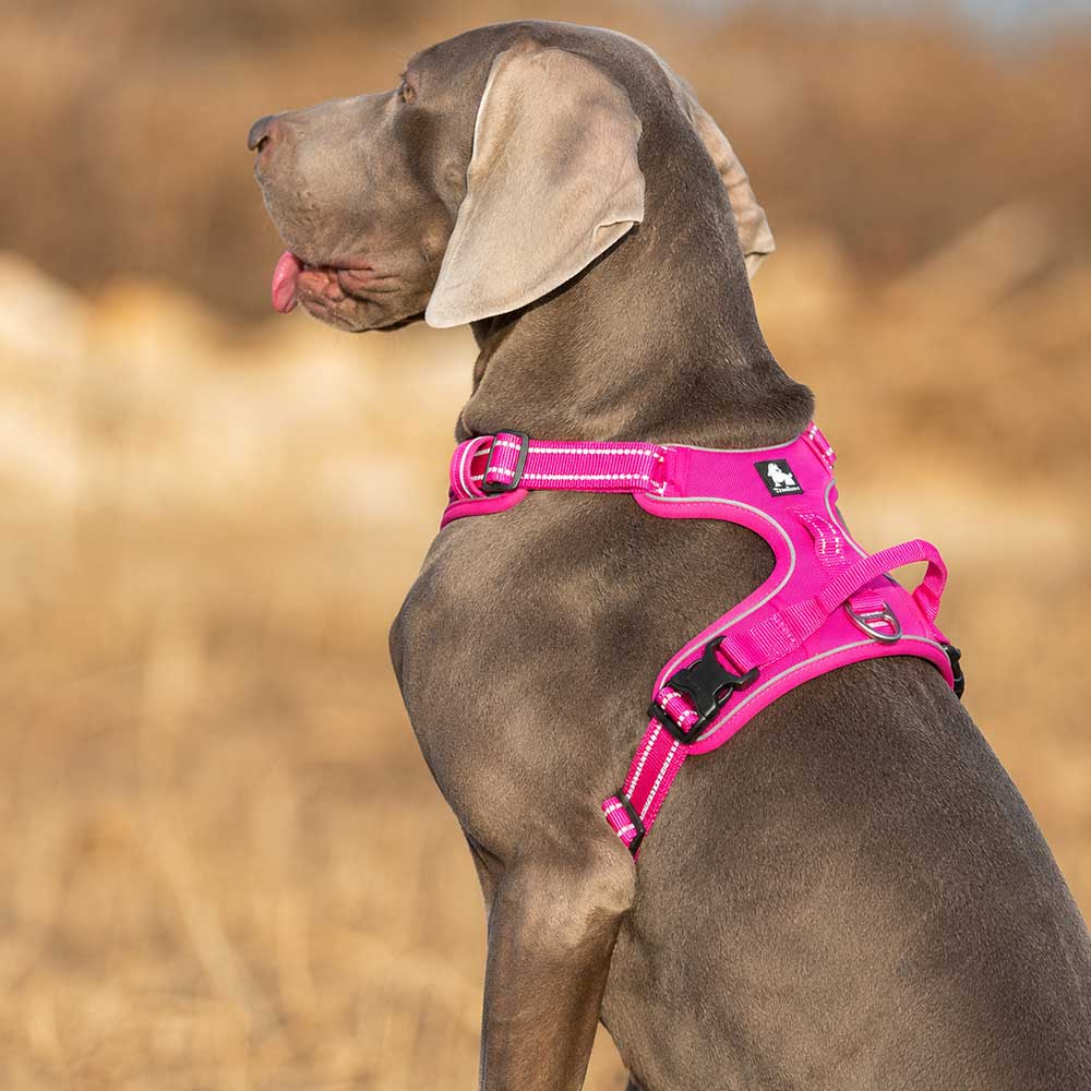 Truelove No Pull Dog Harness - Image 3