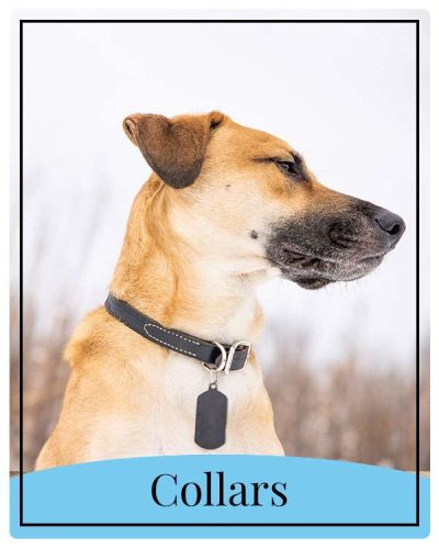 collars