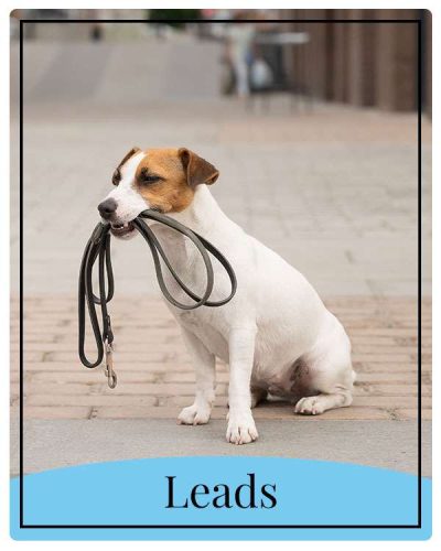 leads